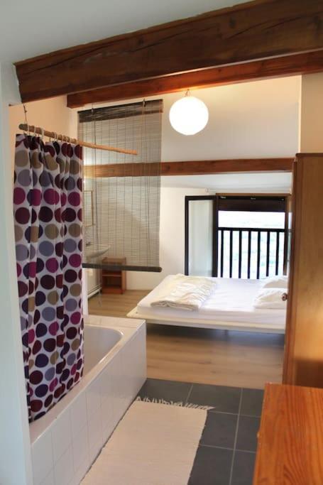 Gite Dans Un Hameau De Charme Castelnau-Durban 外观 照片