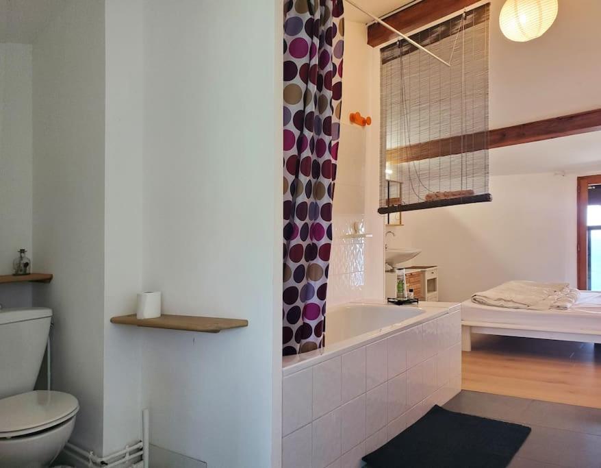 Gite Dans Un Hameau De Charme Castelnau-Durban 外观 照片